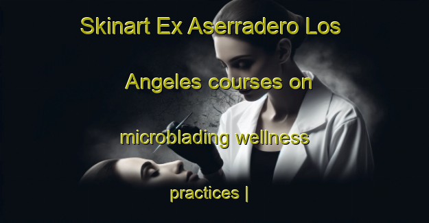 Skinart Ex Aserradero Los Angeles courses on microblading wellness practices | MicrobladingTraining | MicrobladingClasses | SkinartTraining-Mexico